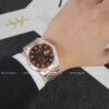 Carnival 8131G-CH-N 11 Đồng hồ Carnival nam 8131G-CH-N Choco