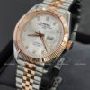Carnival 8131G-CH-T