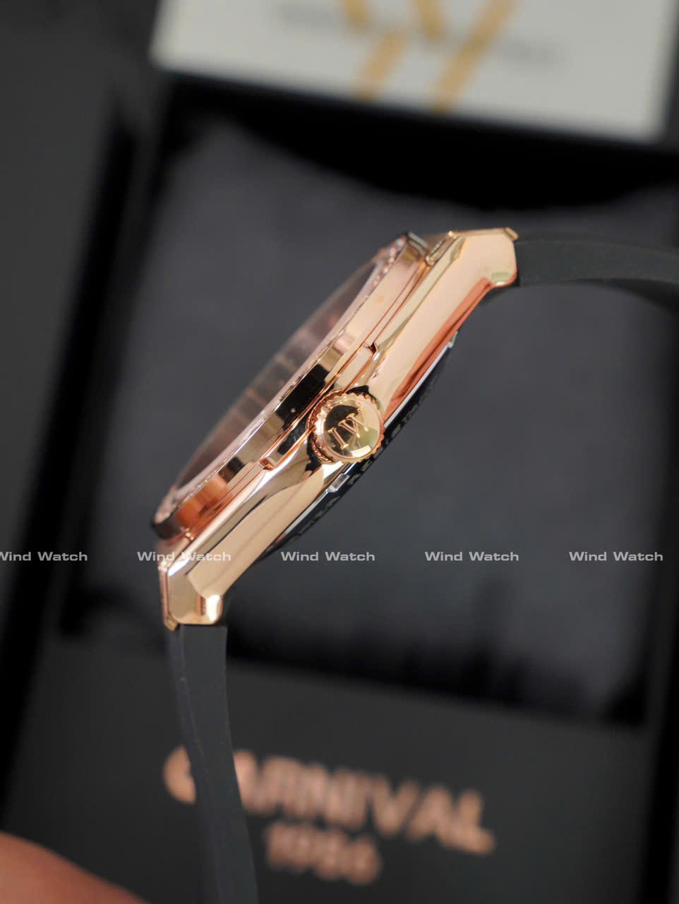I&W Carnival 55851G-VH - Viền Đá - Nâu 4 IW Carnival 55851G Rose Gold