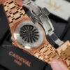 CARNIVAL 8160G-VH-XL 13 8160G