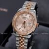 Carnival 8131G-CH-NN (Sundust)